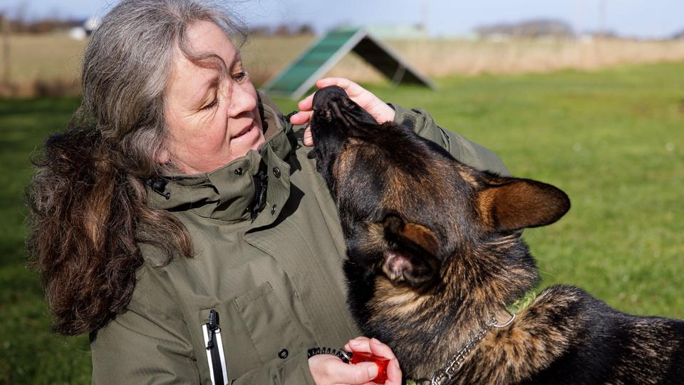 Dina Doctermann har mange års erfaring og kan godt karakteriseres som lidt af en ekspert på sit felt. I dag er Vesløs Hundesport hendes primære erhverv. <i>Bo Lehm</i>