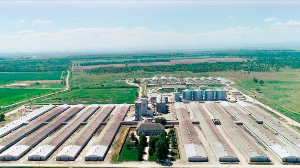 Den nordjyske farm i Ukraine er, efter danske forhold, meget stor. Her har de 6000 hektar landbrugsjord og producerer 200.000 slagtesvin om året. <i>Foto: Zythomir Holding</i>