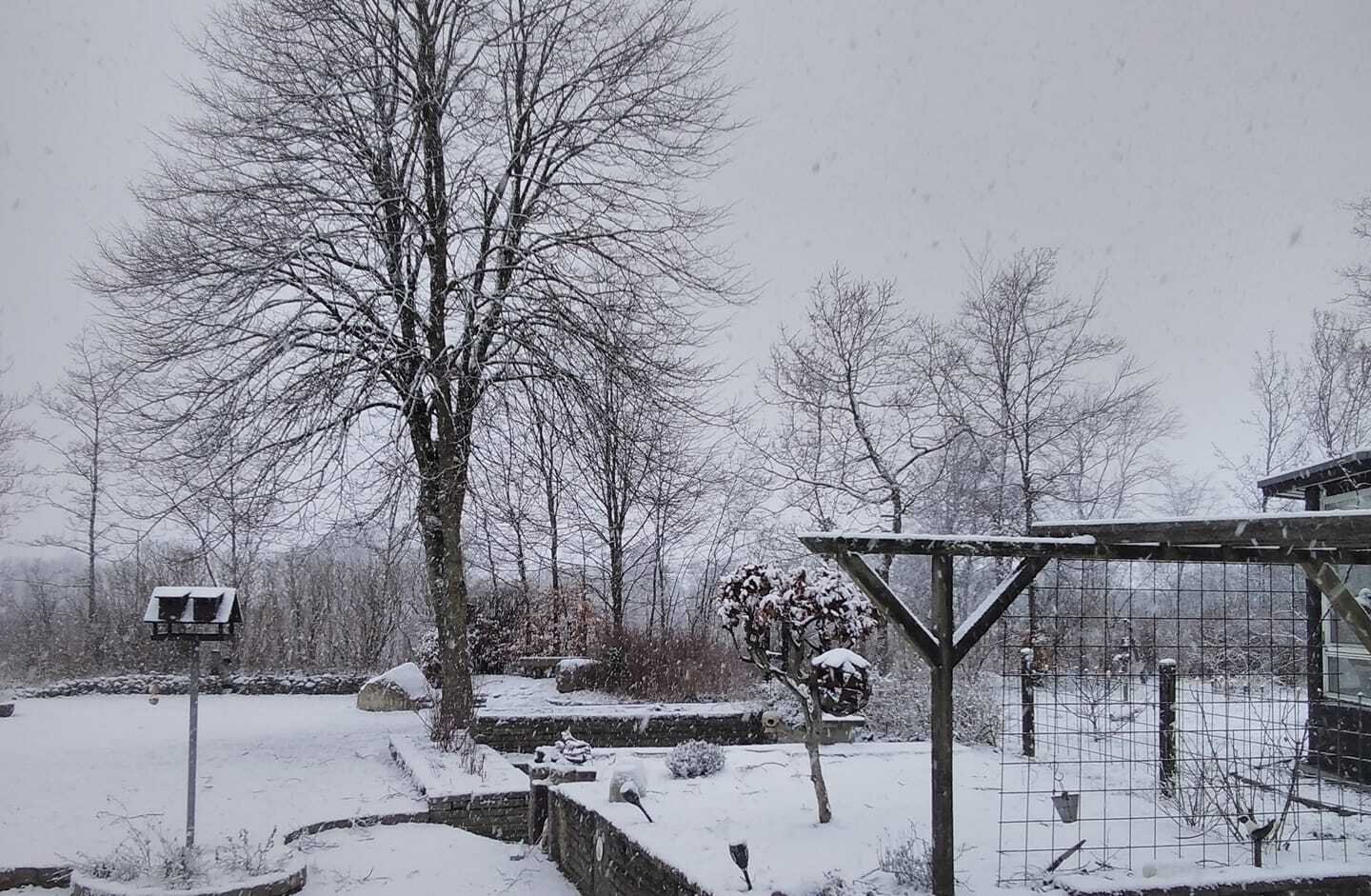 Sneen daler ned mange steder i det nordjyske