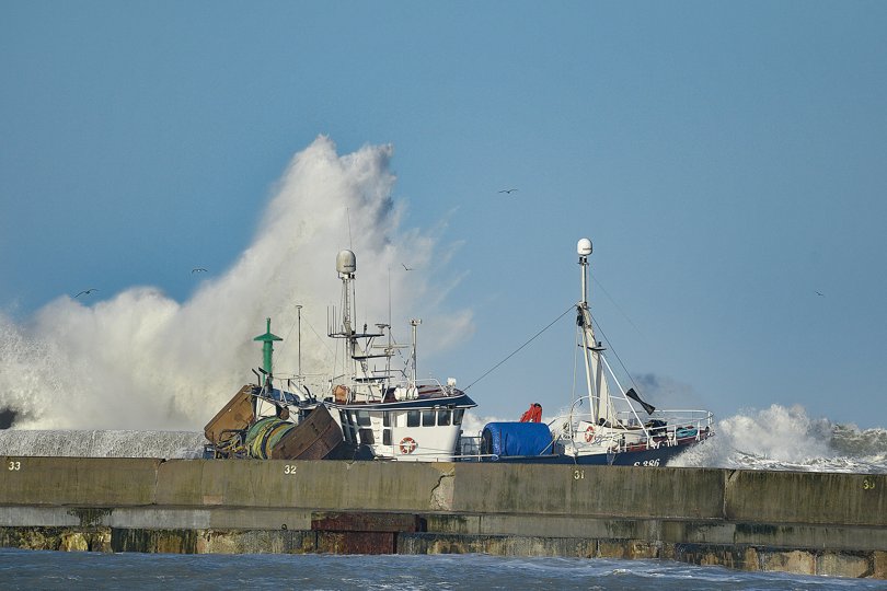 Skagenkutteren S 386 Casilo var søndag et af de første fiskefartøjer, som forlod Hanstholm Havn for at gå på havet efter Skagerrak-rejer. Foto: Ole Iversen