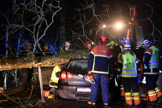 Træet væltede direkte ned i bilen på Næssundvej. Foto: Bo Lehm