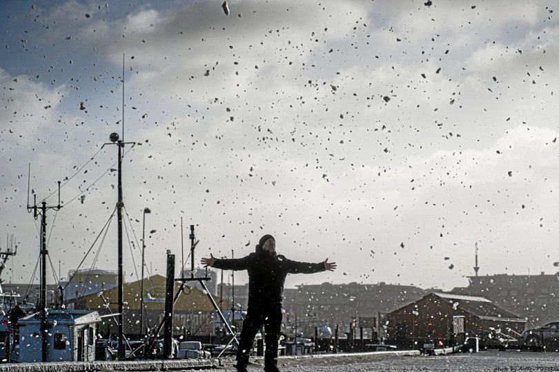 Få har bevæget sig ud i det ekstreme vejr i Hirtshals. Foto: Arturs Pirazkov