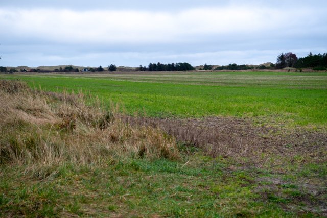Det omstridte område er i dag landbrugsjord og ligger tæt ved klitterne langs Kattegatkysten. Arkivfoto: Kim Dahl Hansen