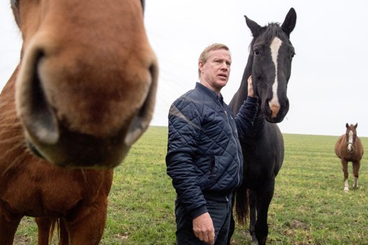 Sociale medier og live-video skal sælge heste fra Mors til hele verden