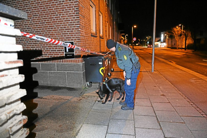 Politiet var på gerningsstedet med både mandskab og hunde til at afsøge området. Foto: Jan Pedersen