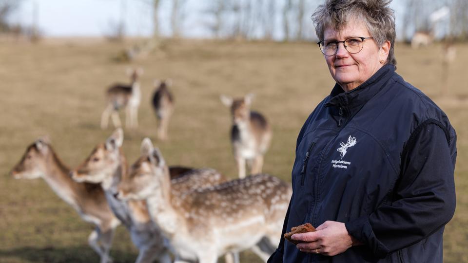 Magda Raunsmed, der også er indehaver af Galgebakkens Hjortefarm, fik ved en pludselig indskydelse idéen til at udbyde gratis bondegårdsferie for dem, der måske ikke har råd til at tage på ferie andre steder. <i>Foto: Bo Lehm</i>