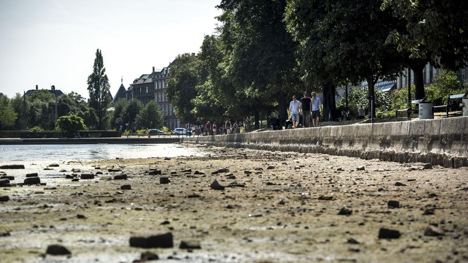 I København tørrede søerne ud under den ekstremt varme og tørre sommer i 2018. Tørke og hedebølge er en risikofaktor, vi skal indstille os på, lyder det fra Beredskabsstyrelsen i en opdateret risikovurdering. (Arkivfoto). <i>Sofie Mathiassen/Ritzau Scanpix</i>