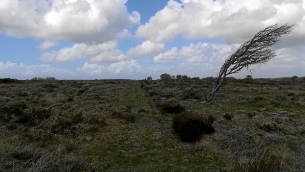 Der blæser en vældig vind fra vest... Privatfoto