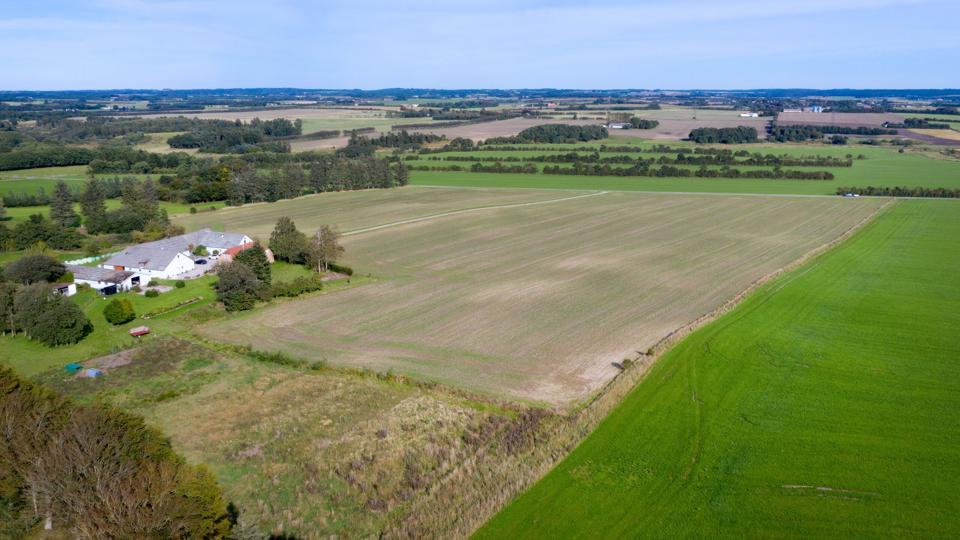 Det er på dele af dette areal, solcelleparken er foreslået. Foto: Torben Hansen