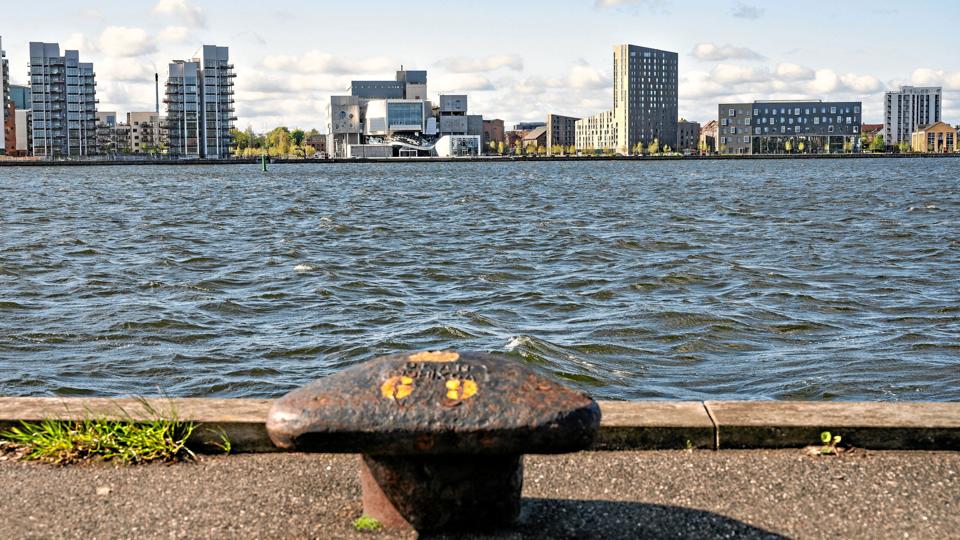 I fremtiden kan borgerne vælge at tage færgen, hvis de vil over fjorden. Arkivfoto: Lars Pauli