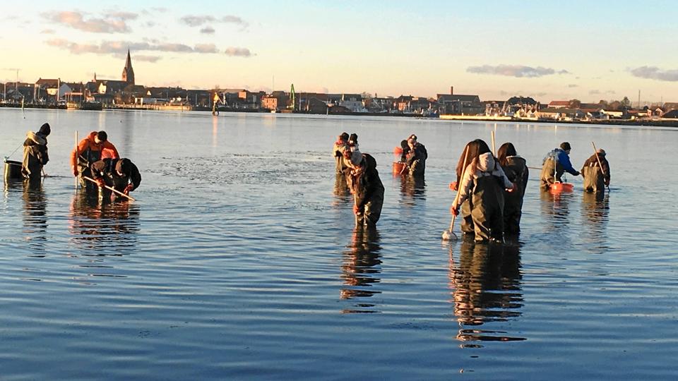 Galleri - Tryk og se alle billederne.