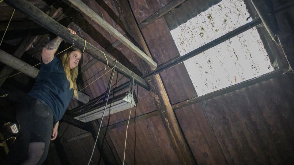 Sara Nielsen er kravlet på loftet, hvor rotter i næsten halvandet år har rumsteret. Foto: Martin Damgård