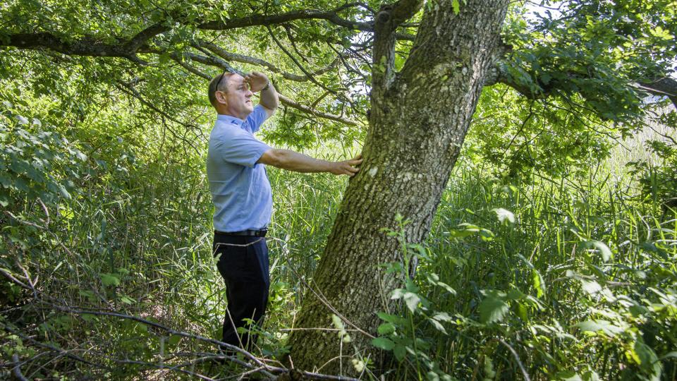 - Det er forkasteligt, at nogle få vil ødelægge naturen for de mange, mener udvalgsformand Meiner Nørgaard. Foto: Peter Mørk