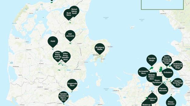 Sådan fordeler de 32 urørte skove sig på Danmarkskortet. Grafik: Miljø- og Fødevareministeriet