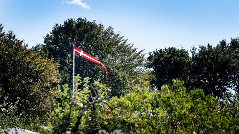 Nyt notat har set på, hvor mange af de 26 kolonihaveforeninger i Aalborg, der skal spildevandskloakeres. Arkivfoto: Torben Hansen