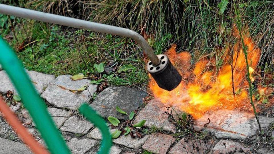 Ukrudtsbrændere er alt for ofte skyld i brande, så man skal tage sig i agt og være forsigtig, når de uønskede grønne vækster fjernes med ild. Arkivfoto: Grete Dahl <i>Arkivfoto: Grete Dahl</i>