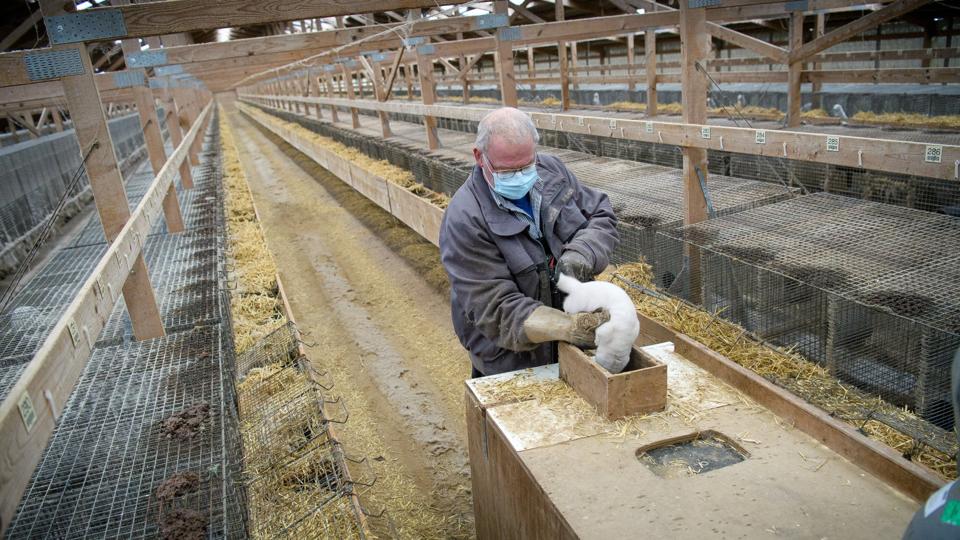 Der bliver tomt i hallerne på Klaus Nørgaard Mogensens minkfarm i Karby. Tirsdag aflivede han sine mink, så venter oprydning i de tomme haller og tilbage er så bare at vente på en afklaring omkring erstatning. Først når det er afgjort kan han fjerne hallerne og sætte punktum i historien om sin tid som minkavler