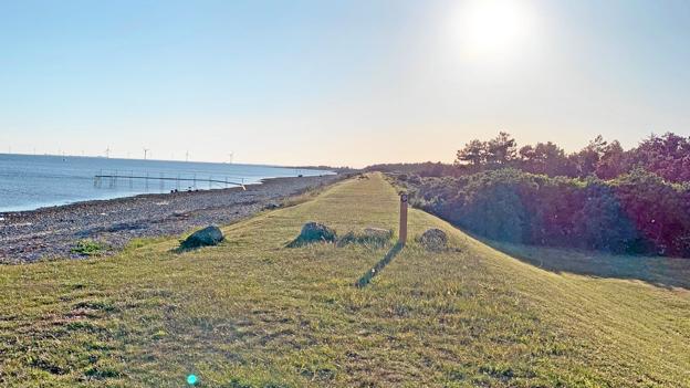 Sommerhusfolket på Draget har altid kunnet gå tur på diget langs kysten. Men det kunne godt blive kedeligt at skulle samme vej frem og tilbage. Det inspirerede til den nye vandrerute. Foto: ida Hestbæk Thomsen