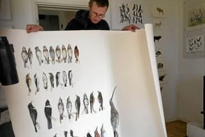 Lodbjerg Fyr udstiller fyrfaldne fugle og fuglemalerier