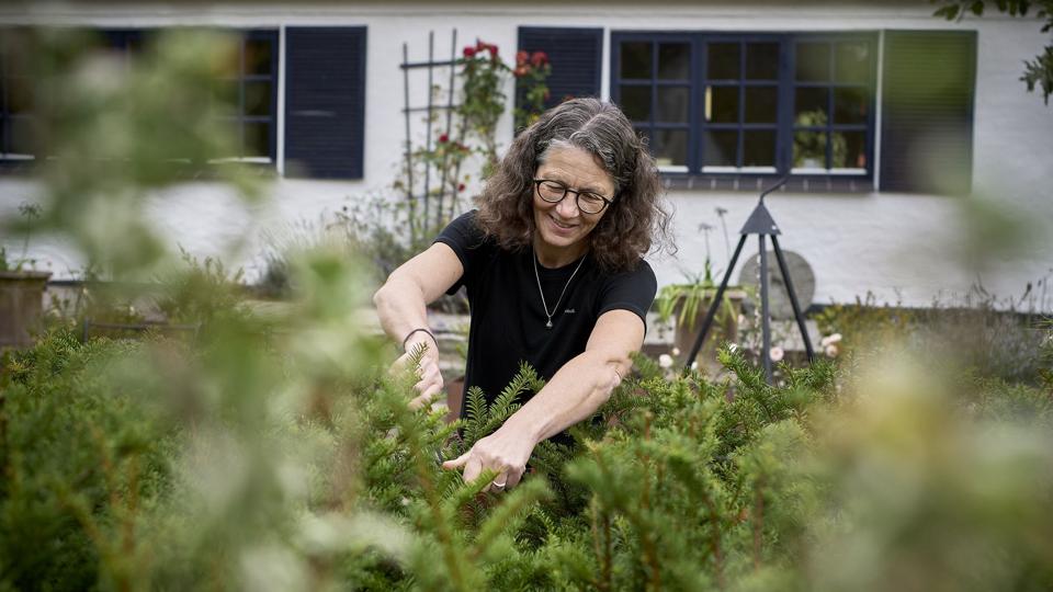 Der er næsten altid en gren der skal klippes eller en plante der skal trimmes, når Karen Asp kommer udenfor hjemmet ved Koppes Mølle. <i>Foto: Henrik Bo</i>