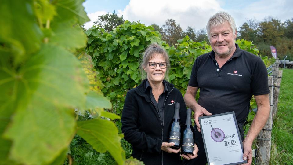 Vinbonde Jan og Lone Thrysøe fra Guldbæk Vingård syd for Aalborg i deres vinmarker med den mousserende vin Primo, der netop har vundet en guldmedalje ved en stor konkurrence. Foto: Bente Poder