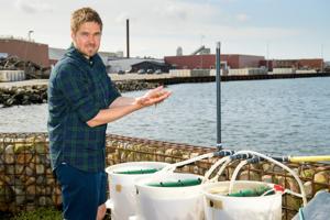 Stor interesse for at dyrke fødevarer i fjorden: Peter er ph.d. i tang