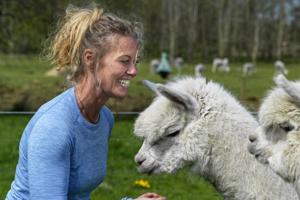 Lise ville finde et dyr til sine fire børn med autisme: Hun endte med 23 alpacaer