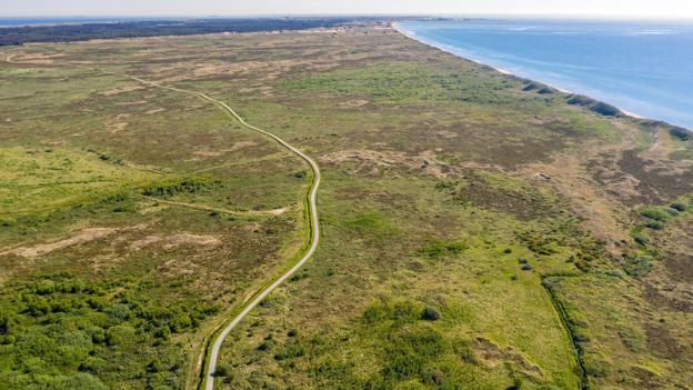 Hulsigstien er en populær cykel- og gangsti mellem Hulsig og Skagen. Foto: Peter Broen <i>Foto: Peter Broen</i>