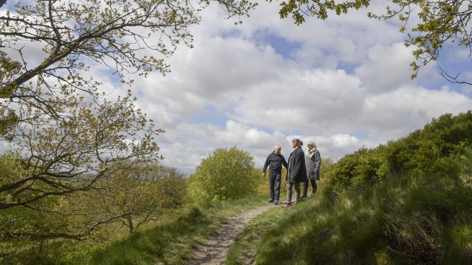 Hohøj i Mariager og Alstrup Krat står først for i Mariagerfjord Kommunes nye satsning om at blive "vandredestination i særklasse".