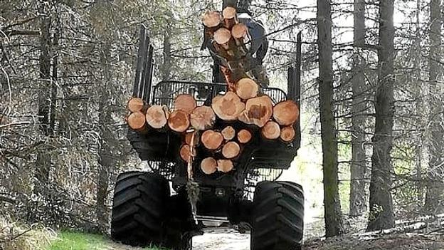 Skoven er også en arbejdsplads. Privatfoto