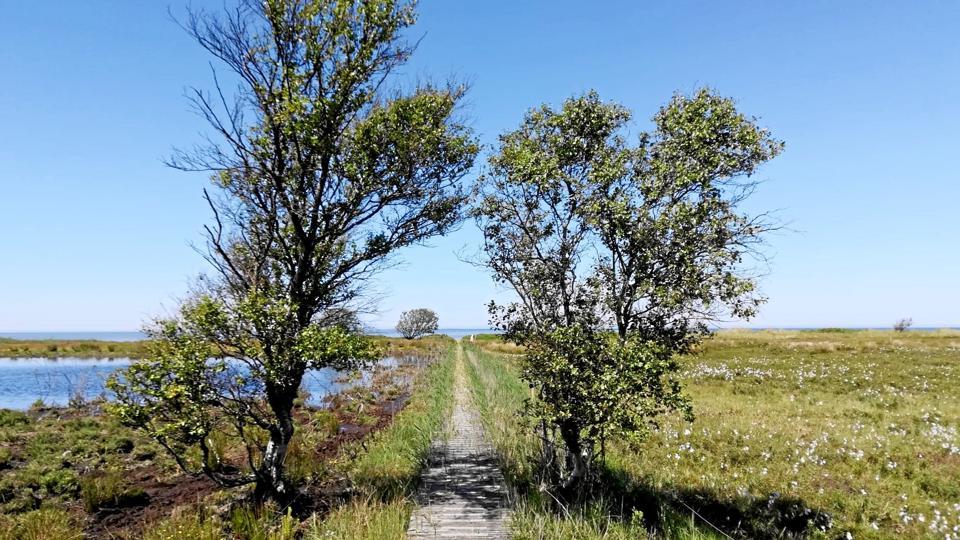 Galleri - Tryk og se alle billederne.
