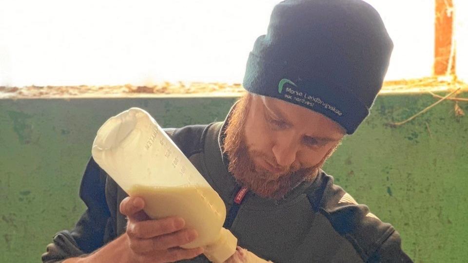 Galleri - Tryk og se alle billederne.