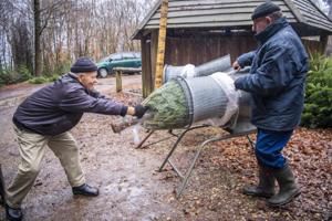 Overskud fra juletræssalg gør gavn: Nu får Mors endnu en hundeskov