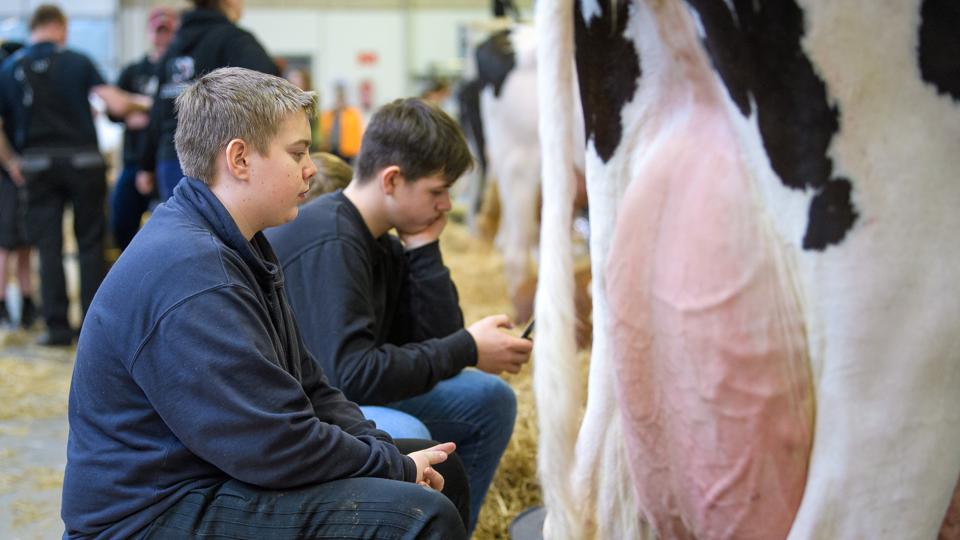 Den 31. udgave af Agro Nord trak om omkring 5000 besøgende. Foto: Bo Lehm