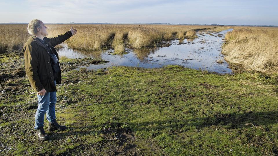 El-ledninger blev tidligere i år gravet ned i Vejlerne. Tilbage løber kun en sti af lavtstående vand, hvor højspændingsmasterne engang stod. Foto: Peter Mørk