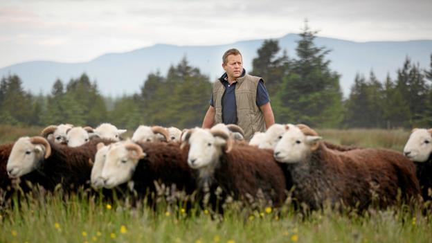 Et får er ikke bare et får: Fremragende dagbog fra fårehyrde - uden uld i mund