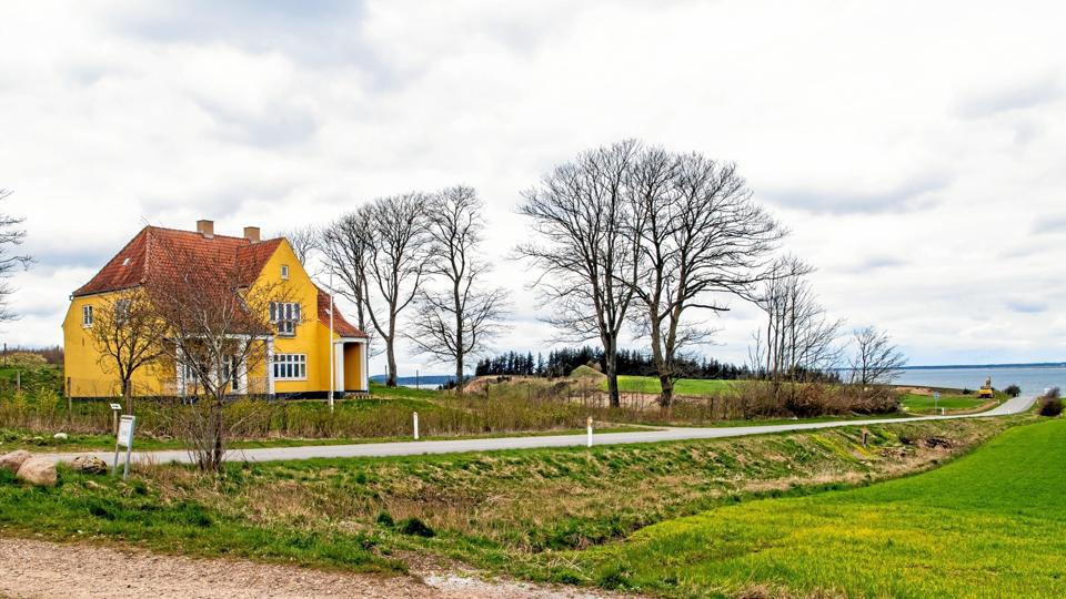 Imerys ønsker over en tiårig periode at udgrave op mod 300.000 kubikmeter moler i området, der ligger mellem Skarrehagevej og en eksisterende molergrav. Arealet skimtes langs grantræerne bagerst i billedet - det omstridte overdrev ligger ude i marken. Arkivfoto