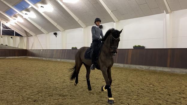 Alexander skiftede 1. januar fra pony til hest. Overgangen har dog ikke været så svær, da han kunne ride på hesten ved siden af konkurrence-ponyen. Foto: Thomas Lee Christensen