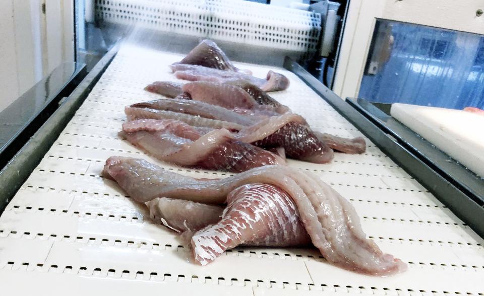 Insula Hanstholm har røde tal på bundlinjen, men direktøren forholder sig helt roligt: - Det lysner, udtaler han. <i>Foto: Amanda Seafoods</i>