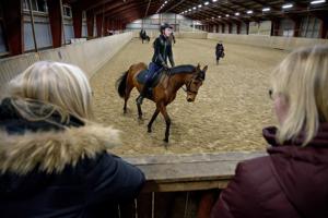 Her har hesten slået en kolbøtte: Rideklub vender stort underskud til plus på et år