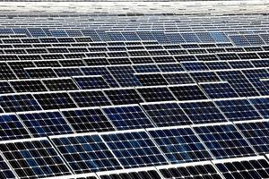 Kø af ansøgninger om store solcelleanlæg: Venter på kommunal planlægning