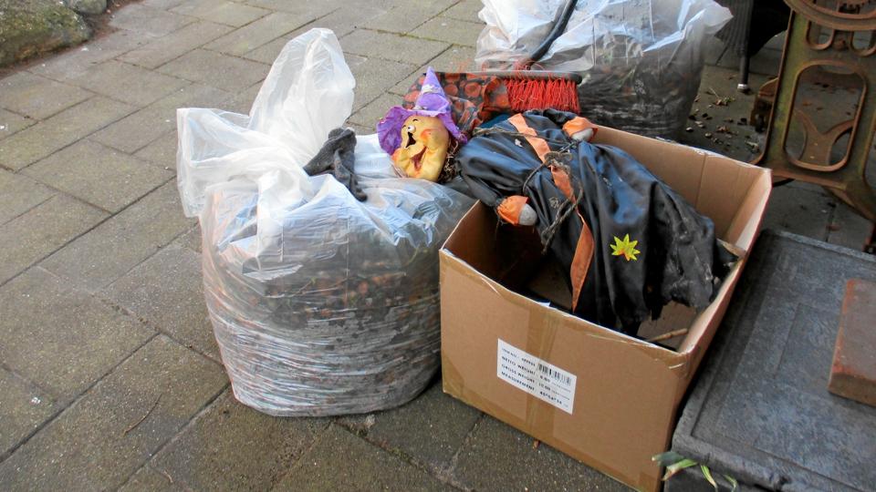 VINDER: Hjemlig hygge med tidligt havearbejde. Foto: René Nilles