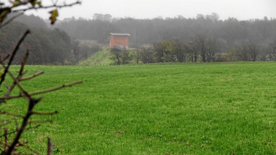 Det er her på arealet med Eghøj Pumpestation i baggrunden, at de 12 nye parceller nu vil blive udstykket.Arkivfoto: Carsten Tolbøll