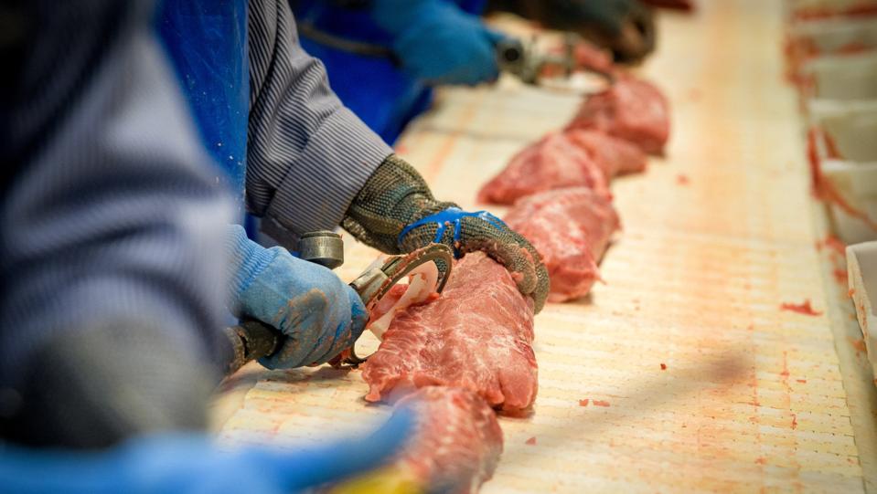 Tican Fresh Meat vil slagte efter grise skærtorsdag og langfredag. Arkivfoto: Bo Lehm