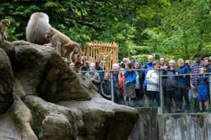 Se billederne: Glade abonnenter strømmede i Zoo