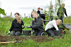 Nyt projekt vækker børns interesse for naturen: - Jeg vil dyrke mine egne gulerødder