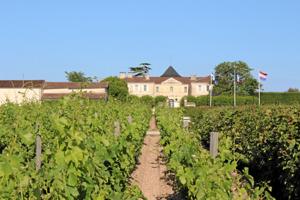 Bordeaux: Vinbønder tændte bål og frelste de gyldne dråber til årgang 2019