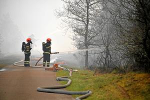 Vind fik naturbrand til at blusse op: Flammer fik igen fat i Stenbjerg Plantage