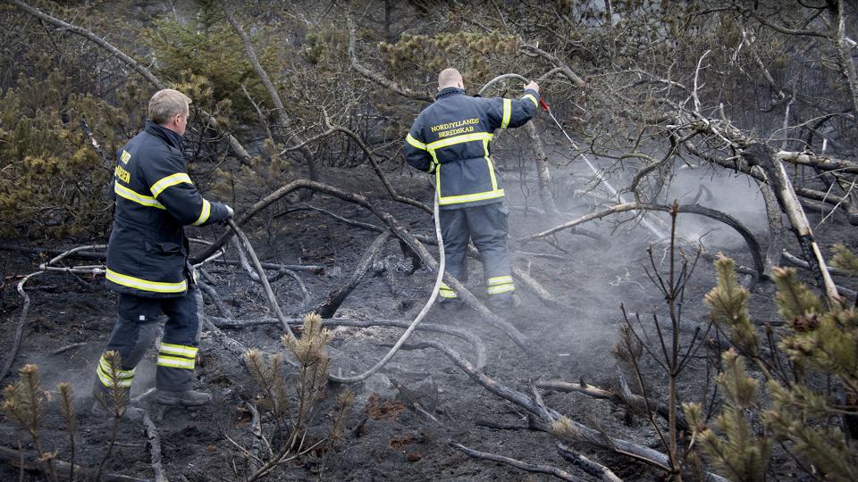 Branden i Stenbjerg Klitplantage fortsatte onsdag. Foto: Peter Mørk <i>Foto: Peter Mørk</i>