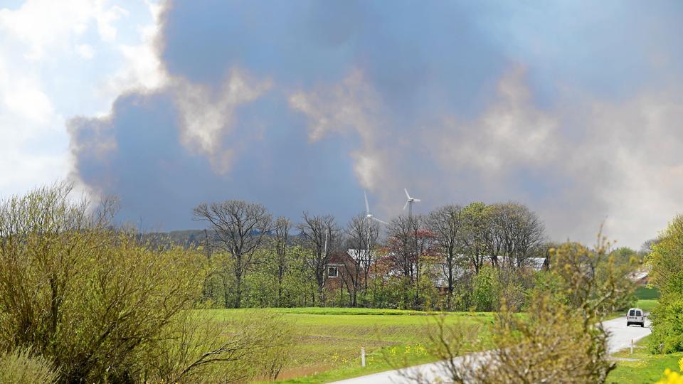 Foto: Bo Lehm <i>Bo Lehm</i>